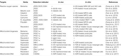 Mitochondrial Targeting of Herbal Medicine in Chronic Kidney Disease